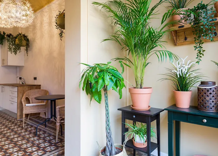 Casa Maca Guest HouseAlbergo